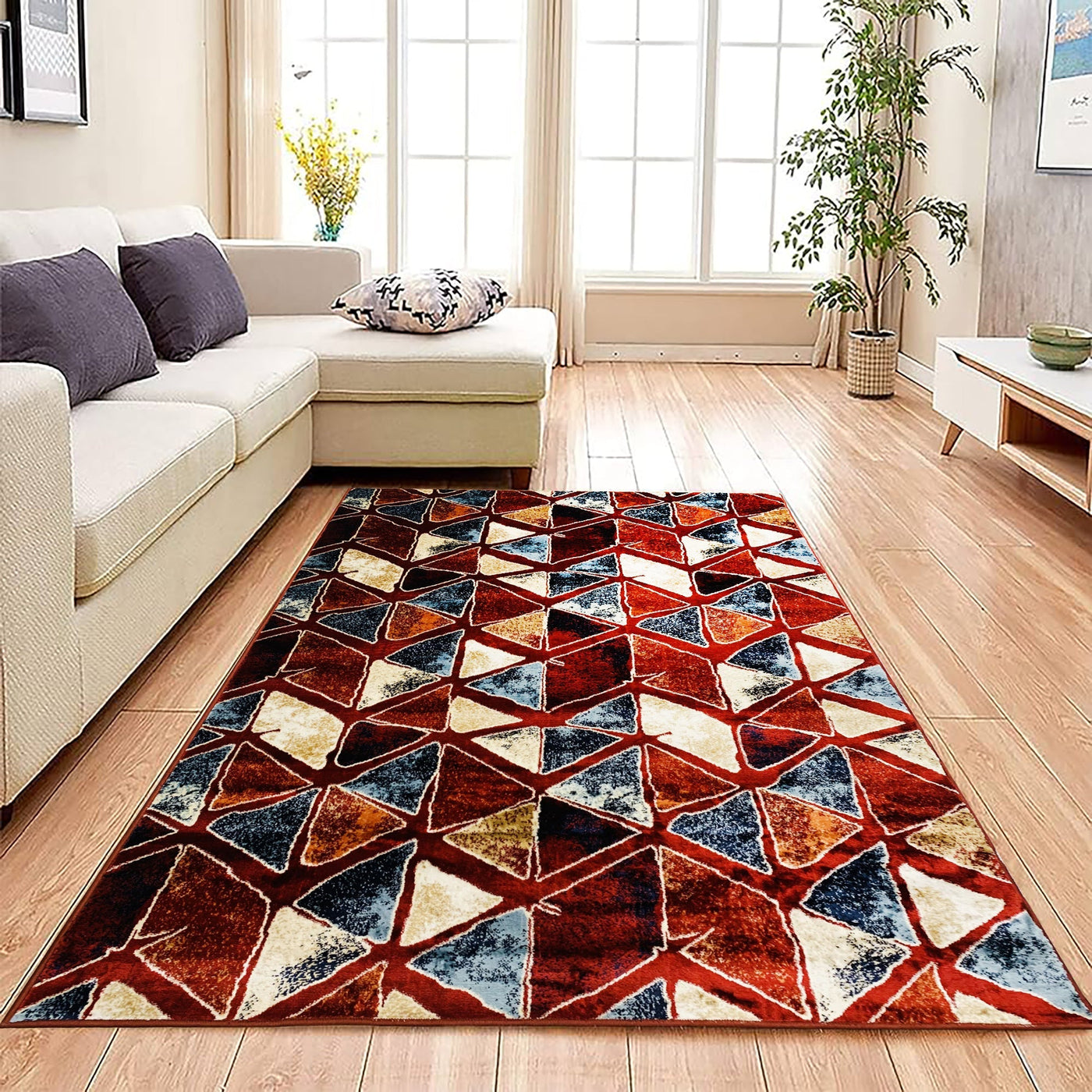 Silky Woven Rug.