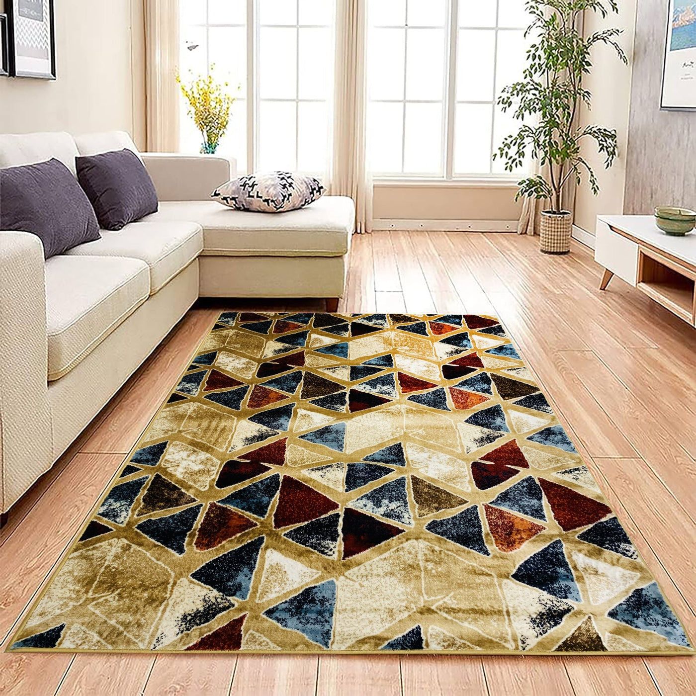 Silky Woven Rug.