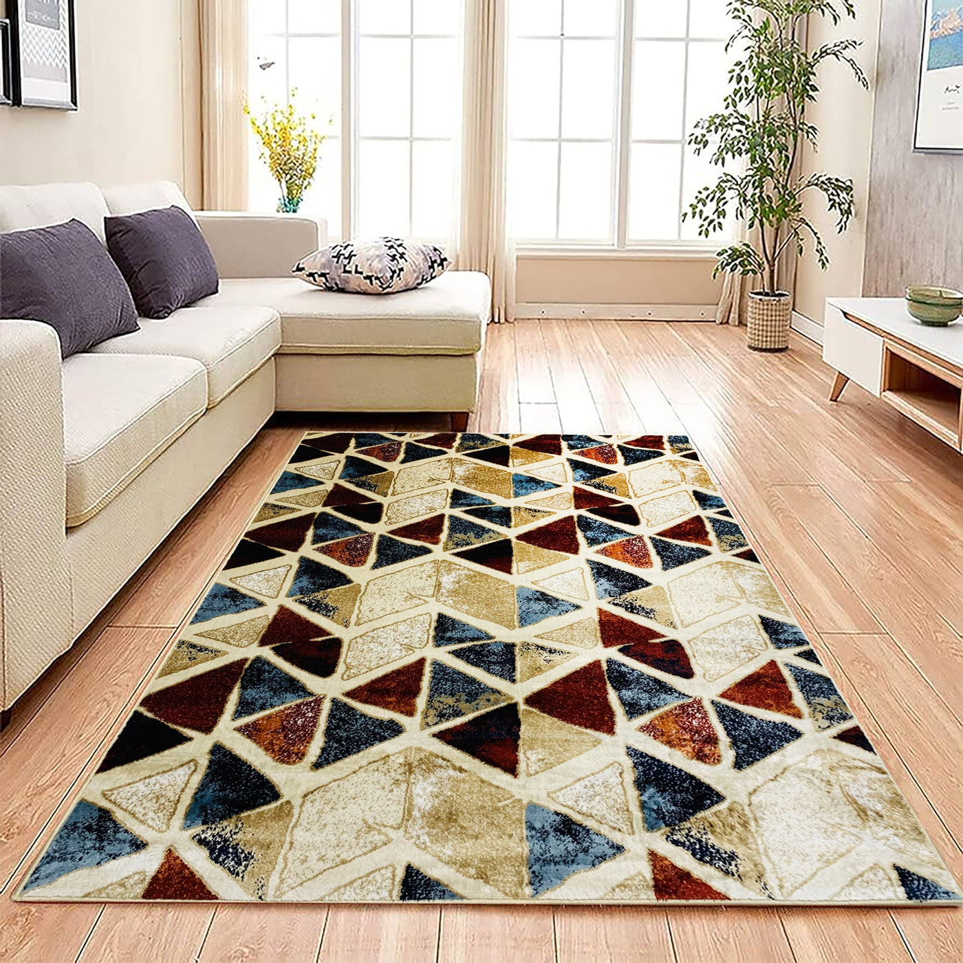 Silky Woven Rug.