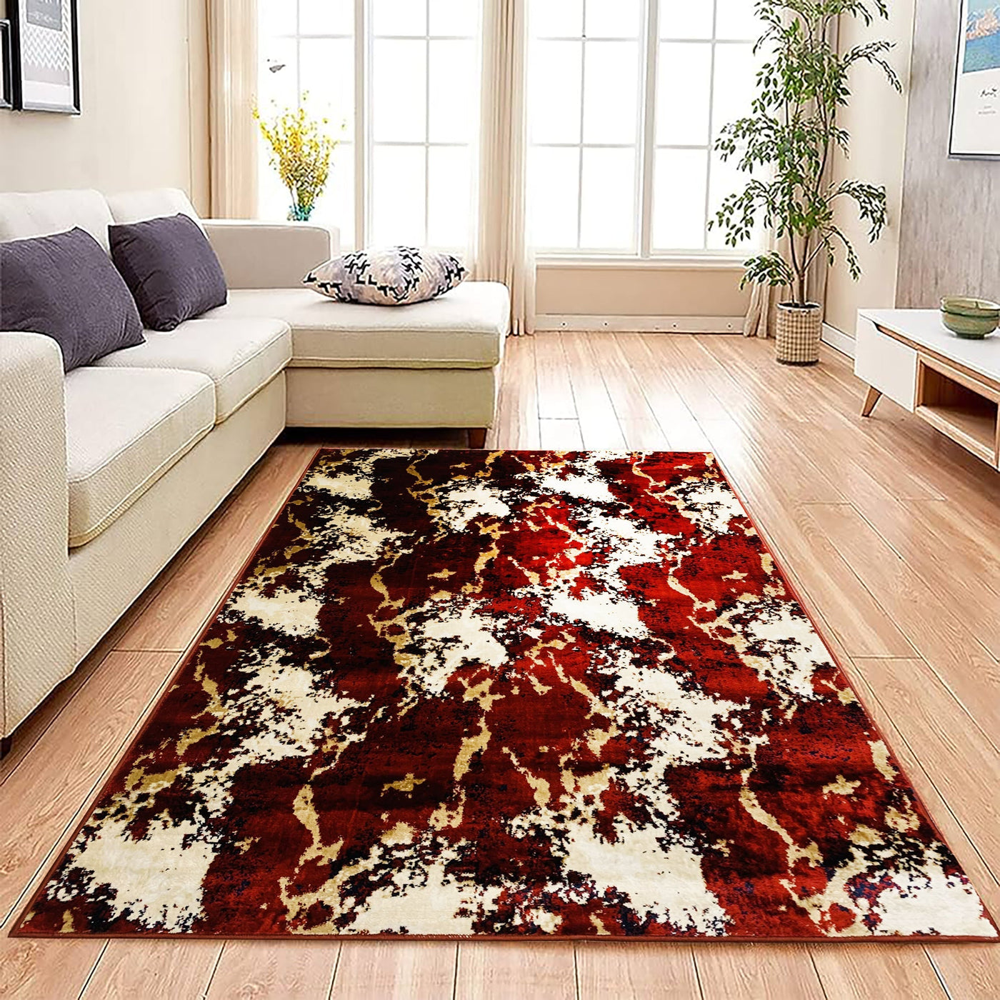 Silky Woven Rug.