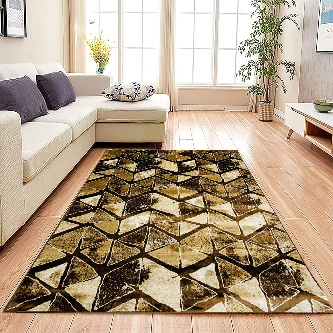 Silky Woven Rug.